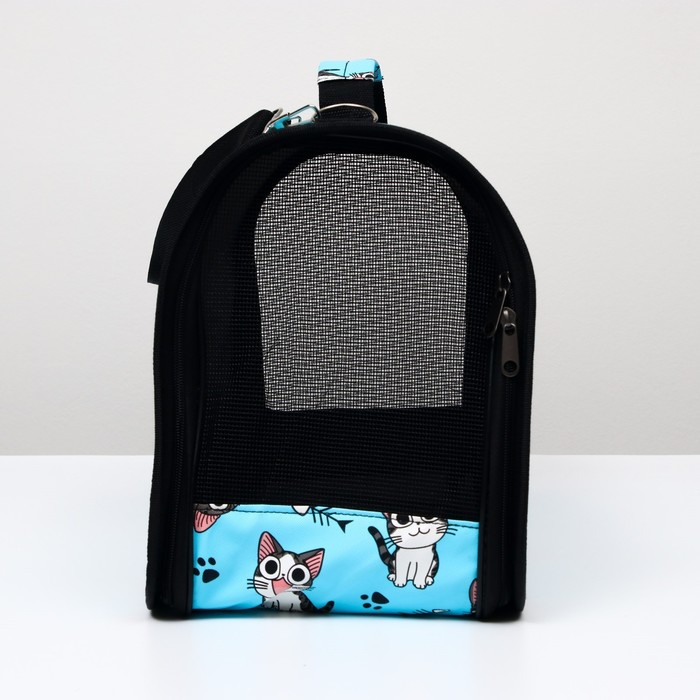 Сумка - переноска для животных  Сумка - переноска для животных "Играющие котики", голубая, размер L, 53 х 21 х 29 см