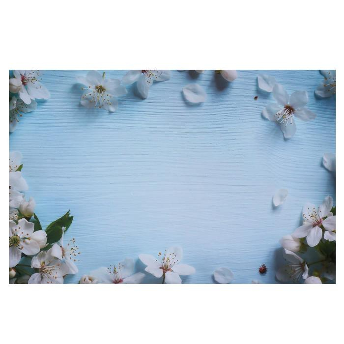 Фотофон двусторонний бумага 300 гр Фотофон двусторонний бумага 300 гр "Яблочный цвет на голубом и белом" 57х87 см