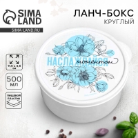 Ланч-бокс «Наслаждайся моментом», 500 мл
