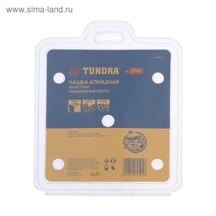 Чашка алмазная зачистная ТУНДРА ПРОФИ, повышенный ресурс, двухрядная, 125 мм Чашка алмазная зачистная ТУНДРА ПРОФИ, повышенный ресурс, двухрядная, 125 мм
