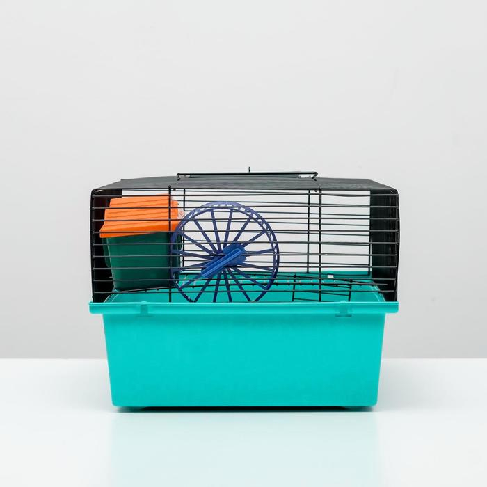 Клетка для грызунов Клетка для грызунов "Пижон" №4, с этажом, укомплектованная, 37х26х18 см, бирюзовая