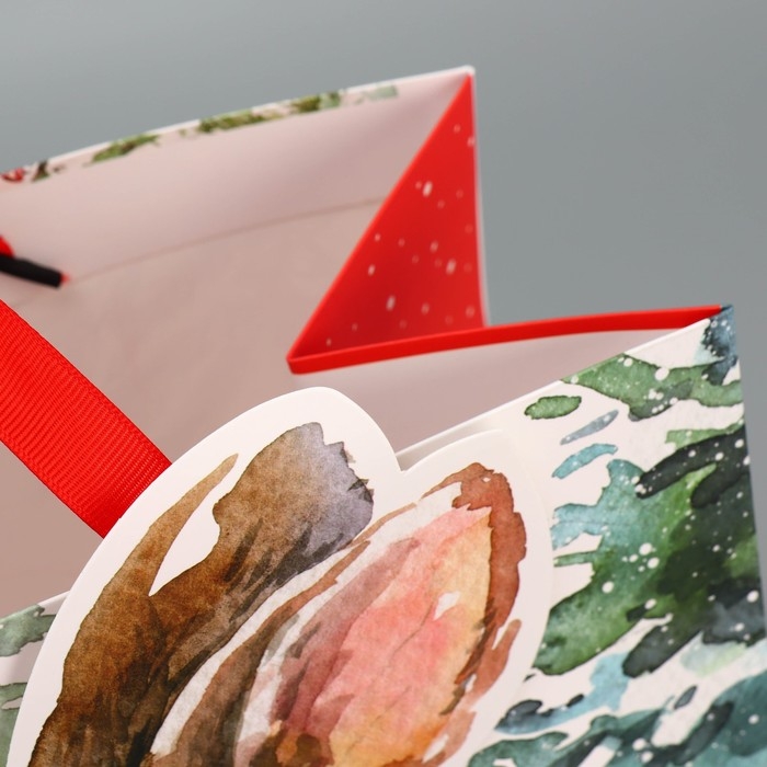 Пакет подарочный новогодний &laquo;Зайчик&raquo;, 30 х 30 х 15 см, Новый год