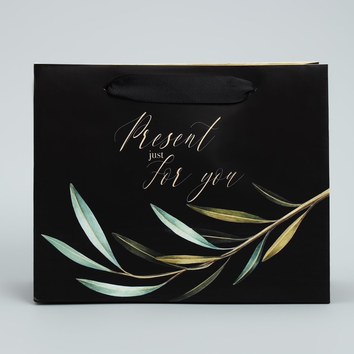 Пакет подарочный ламинированный горизонтальный, упаковка, «Present just for you», 22 х 17.5 х 8 см