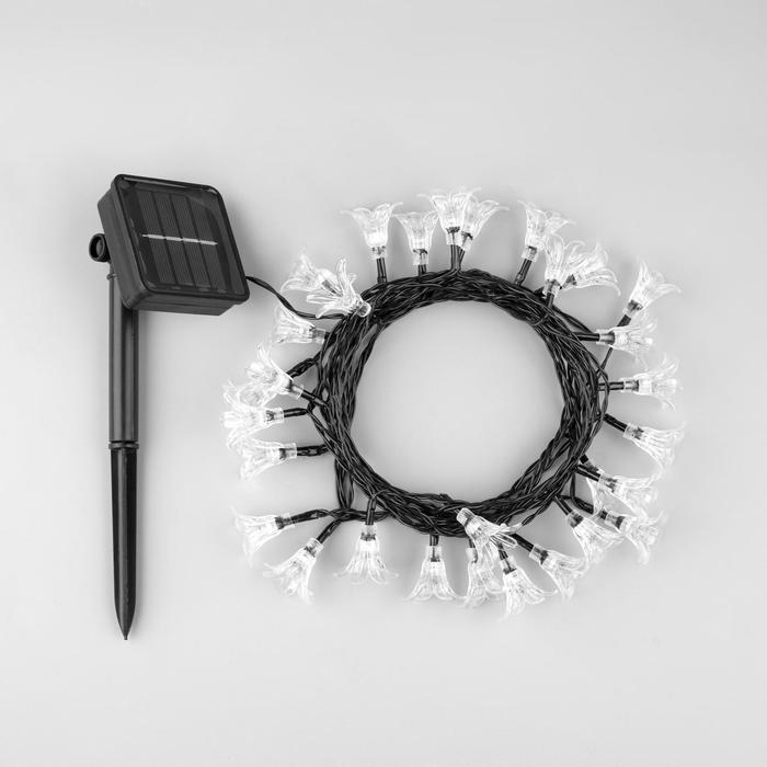 Гирлянда «Нить» 4.5 м с насадками «Цветы», IP44, тёмная нить, 30 LED, свечение мульти, 2 режима, солнечная батарея Гирлянда «Нить» 4.5 м с насадками «Цветы», IP44, тёмная нить, 30 LED, свечение мульти, 2 режима, солнечная батарея