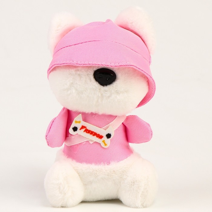 Мягкая игрушка «Собака», в панамке, 13 см, цвет МИКС Мягкая игрушка «Собака», в панамке, 13 см, цвет МИКС