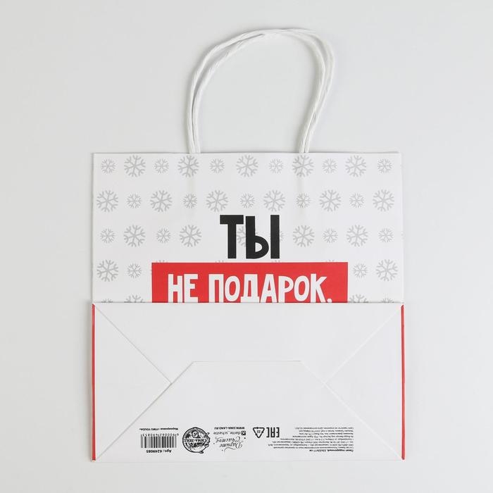Пакет подарочный новогодний «Ты не подарок», 22 х 22 х 11 см