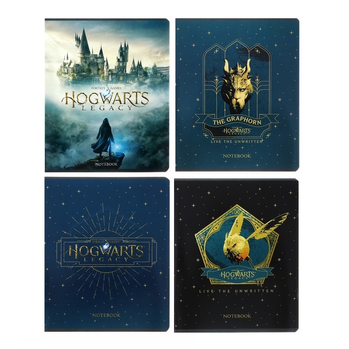 Тетрадь 48 листов клетка  Тетрадь 48 листов клетка "-Hogwarts Legacy-Гарри Поттер", обложка мелованный картон, скругленные углы, блок 65 г/м2, 5В МИКС