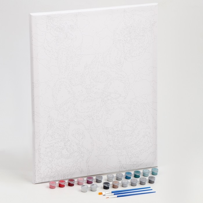 Картина по номерам на холсте с подрамником «Белые котята», 40 х 50 см Картина по номерам на холсте с подрамником «Белые котята», 40 х 50 см