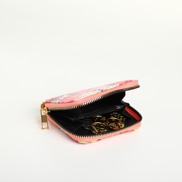 Кошелёк на молнии, цвет разноцветный Кошелёк на молнии, цвет разноцветный