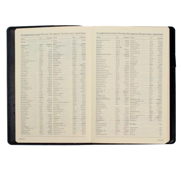 Ежедневник полудатированный А5, 208 листов Profy, рециклированная кожа, сменный блок, золотой срез, чёрный Ежедневник полудатированный А5, 208 листов Profy, рециклированная кожа, сменный блок, золотой срез, чёрный