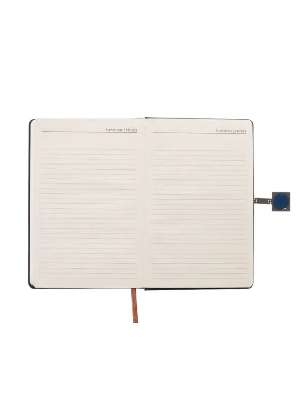 Ежедневник недатированный формат А5, с хлястиком, 96л, линия, пвх, Черный