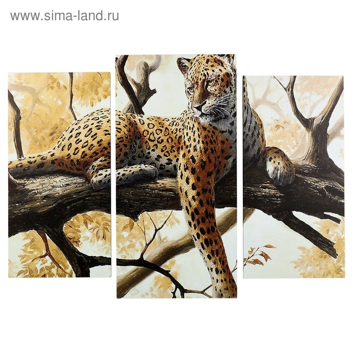 Картина модульная на подрамнике  Картина модульная на подрамнике "Гепард на отдыхе" (2-25х50, 30х60 см) 80х60 см