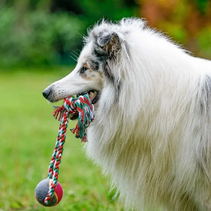 Игрушка канатная &laquo;Вираж&raquo;, с мячом, до 135 г, до 37 см, цвет МИКС