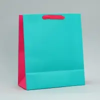 Пакет подарочный двухцветный, упаковка, &laquo;Розовый-голубой&raquo;, ML 23&times;27&times;11.5 см