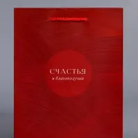 Пакет подарочный ламинированный &laquo;С уважением!&raquo;, красный, 18&times;22.3&times;10 см