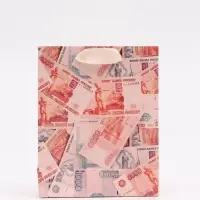 Пакет подарочный «Деньги», S 12 × 15 × 5,5 см Пакет подарочный «Деньги», S 12 × 15 × 5,5 см