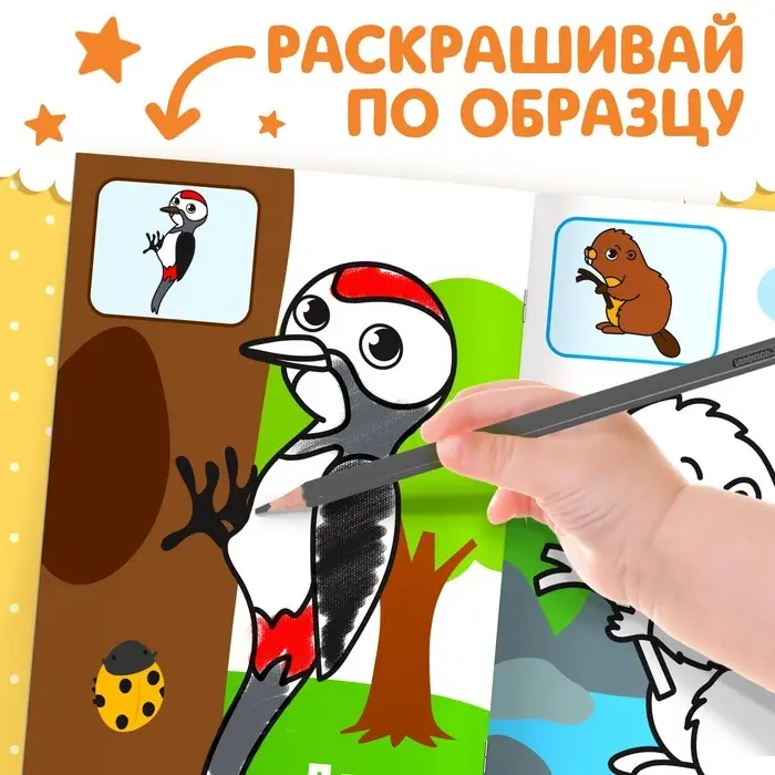 Раскраска для малышей «Лесные животные», по образцу, А5, 12 стр.