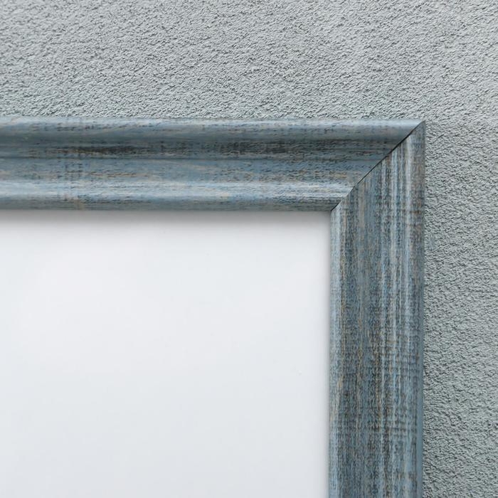 Фоторамка пластик Gallery 40х60 см, 642445 серый (пластиковый экран) Фоторамка пластик Gallery 40х60 см, 642445 серый (пластиковый экран)