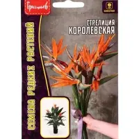 Семена цветов Стрелиция Королевская 3 шт. / НОВИНКА  12.29 г.