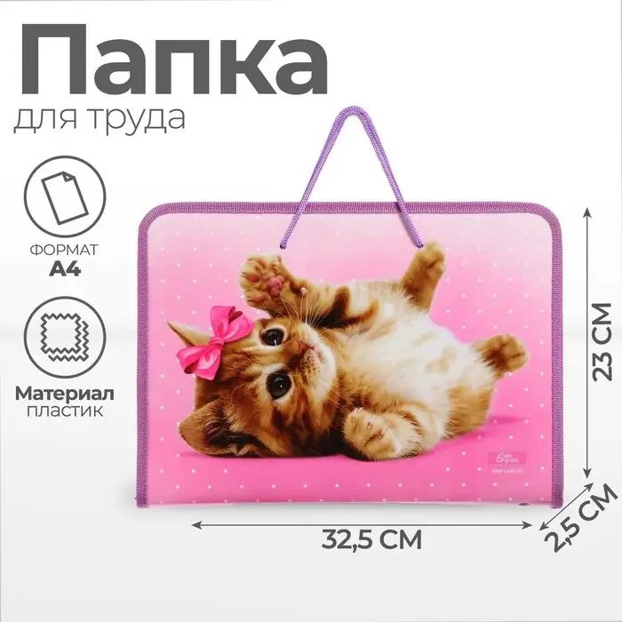 Папка для труда, А4, пластиковая, 32.5&times;23&times;2.5 см &laquo;Самая милая&raquo;