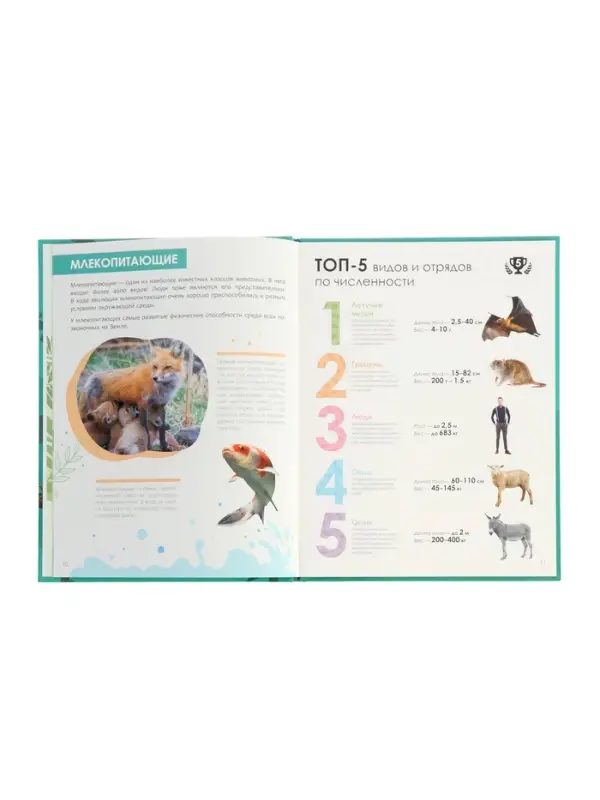 Ээнциклопедия  Ээнциклопедия "Животные"