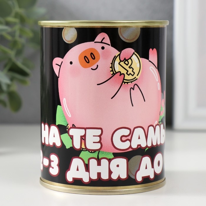 Копилка-банка Копилка-банка "На те самые 2-3 дня"