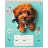 Тетрадь КЛЕТКА 18л. ОБАЯТЕЛЬНЫЕ ПЁСИКИ обл.-мелов.картон,ассорти 18-4310