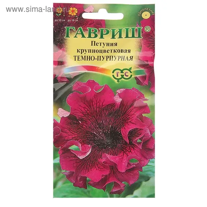 Семена цветов Петуния Темно-пурпурная, бахромчатая, О, пробирка, ц/п, 7 шт. Семена цветов Петуния Темно-пурпурная, бахромчатая, О, пробирка, ц/п, 7 шт.
