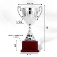 Кубок 045, наградная фигура, серебро, подставка пластик, 20 см