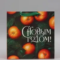 Пакет подарочный &laquo;С Новым годом&raquo;, мандарины, 30&times;30&times;12 см