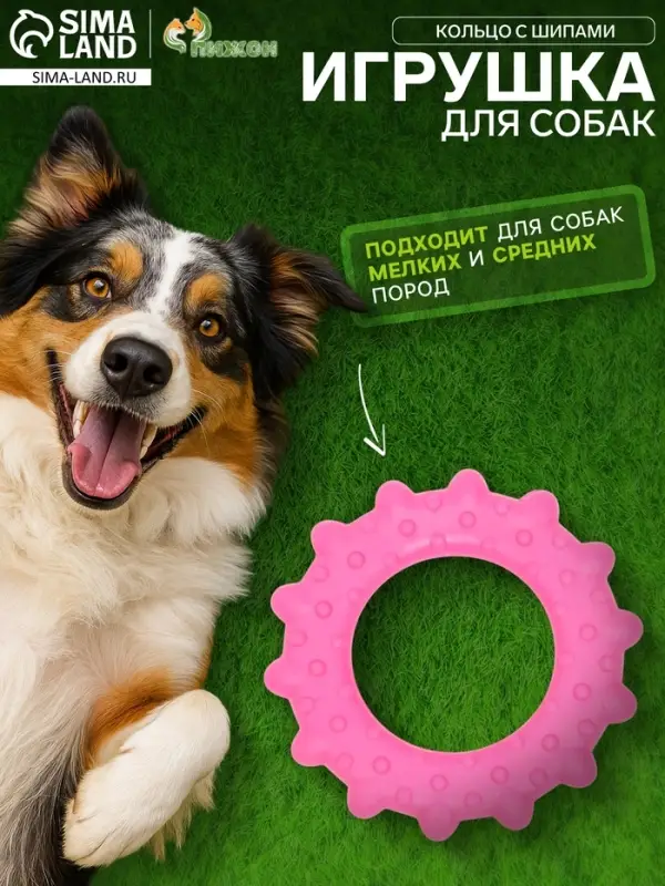 Жевательная игрушка для собак &laquo;Кольцо с шипами&raquo;, 8.5 см, TPR, розовая