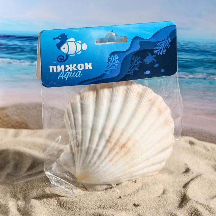 Ракушка декоративная Гребешок, 10-12 см Ракушка декоративная Гребешок, 10-12 см