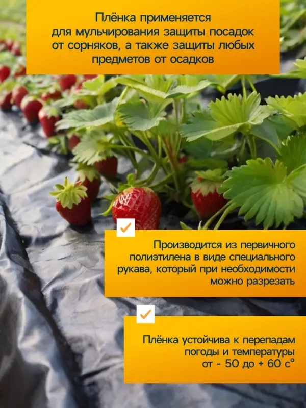 Плёнка из полиэтилена, техническая, толщина 120 мкм, чёрная, 10&times;3 м, рукав (1.5 м&times;2), Эконом 50%, для дома и сада, Greengo