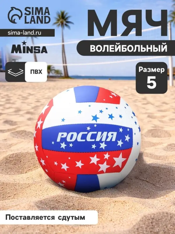 Волейбольный мяч MINSA, машинная сшивка, 18 панелей, р. 5, PVC