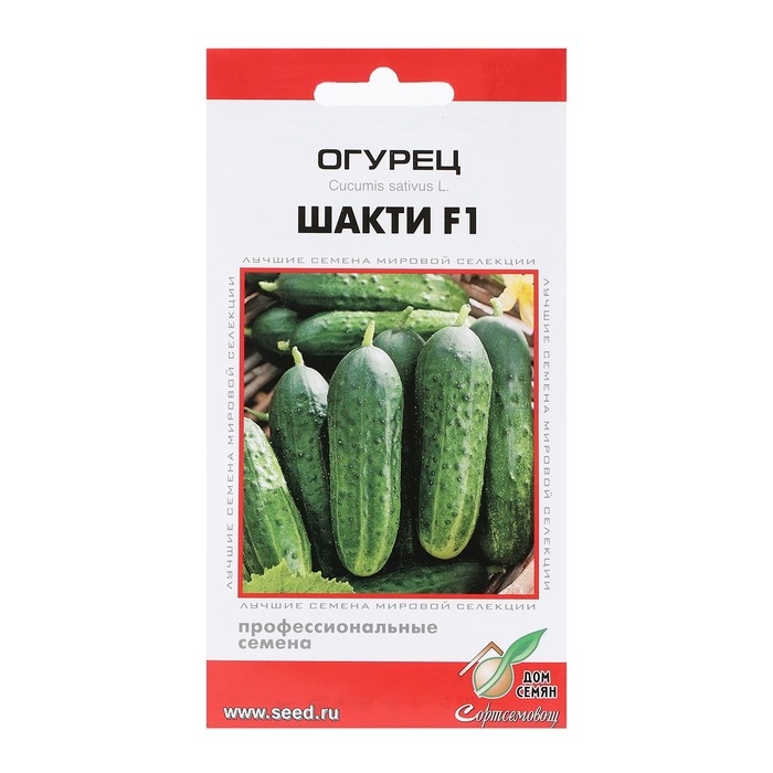 Семена Огурец Семена Огурец "Шакти", F1, 6 шт