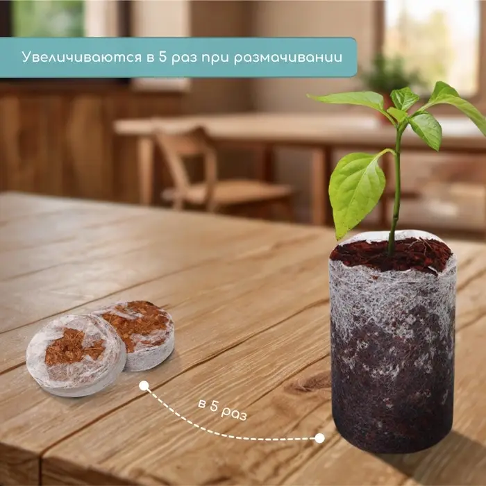 Таблетки кокосовые, для рассады, d=3.5 см, с оболочкой, набор 6 шт., Greengo