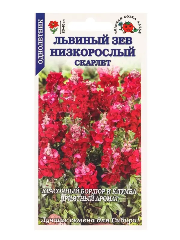 Семена Львиный зев Низкорослый скарлет /Сотка/ 0,1г/*1800 Семена Львиный зев Низкорослый скарлет /Сотка/ 0,1г/*1800