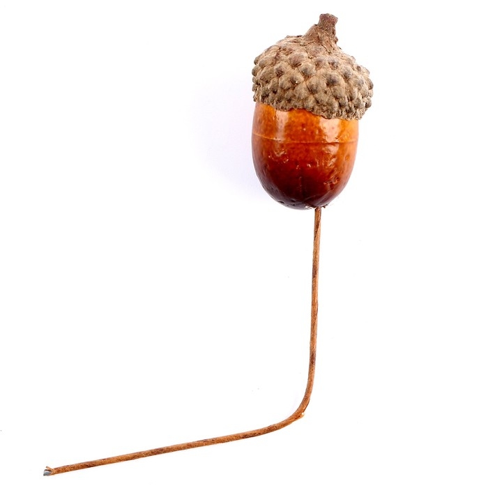 Декор для творчества «Желуди» набор 20шт, 3х2см Декор для творчества «Желуди» набор 20шт, 3х2см