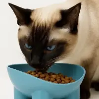 Миска для животных &laquo;БЕГЕМОТ&raquo;, 300 мл, покрытие софт-тач, пластик, серо- голубой