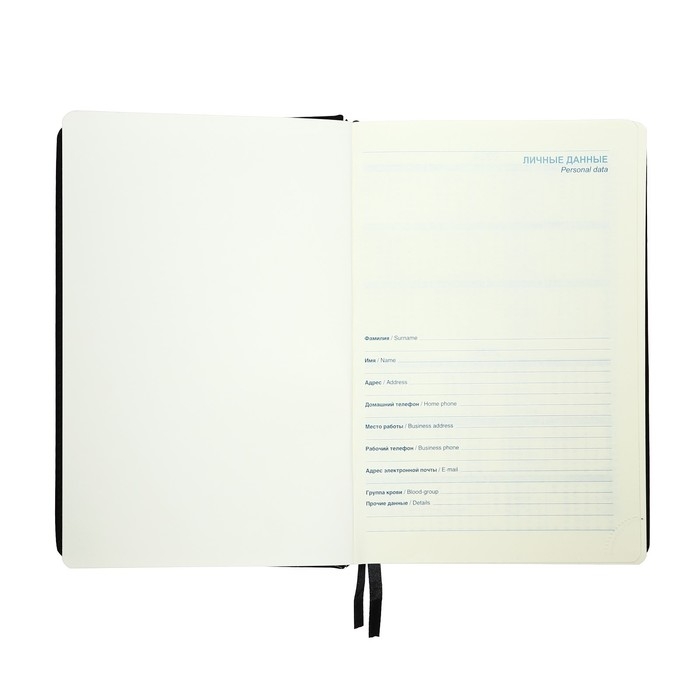 Ежедневник 2025 года A5, 168 листов в линейку, кожзам  Ежедневник 2025 года A5, 168 листов в линейку, кожзам "Небраска", серебряный срез, черный