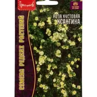 Семена цветов Роза Ксантина кустовая 10 шт.  12.29 г.