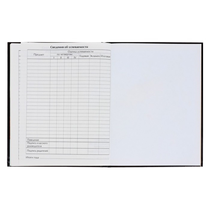 Дневник для 5-11 классов, "Пантера", твердая обложка 7БЦ, глянцевая ламинация, 48 листов