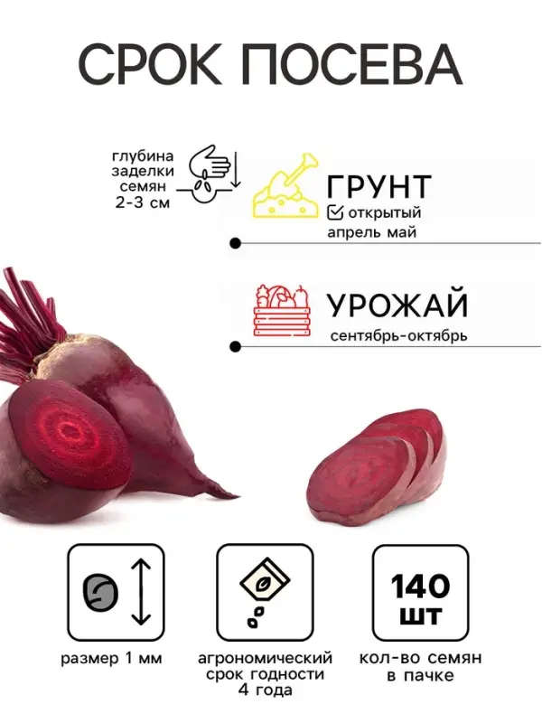 Семена Свекла "Цилиндра"  140 шт