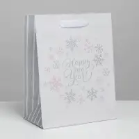 Пакет подарочный новогодний крафтовый «Happy new year!», 12 х 15 х 5.5 см