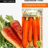 Семена Морковь&laquo;Берликум Роял&raquo;, 2 г, &laquo;Агросс&raquo;