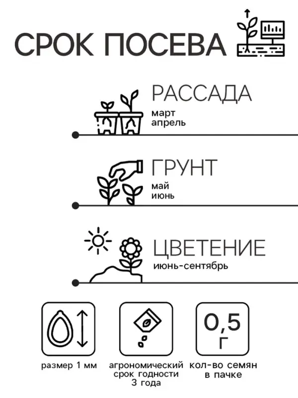 Семена цветов Душистый горошек  Семена цветов Душистый горошек "Шоколадный крем", 0,5 г