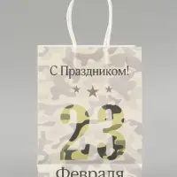 Пакет подарочный крафт &laquo;С 23 Февраля!&raquo; 15&times;8&times;21 см