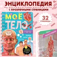 Энциклопедия с прозрачными страницами &laquo;Моё тело&raquo;, 32 стр.