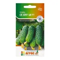Семена Огурец, &laquo;СВ 4097 ЦВ&raquo;, F1, 8 шт., Seminis, &laquo;Агрос&raquo;