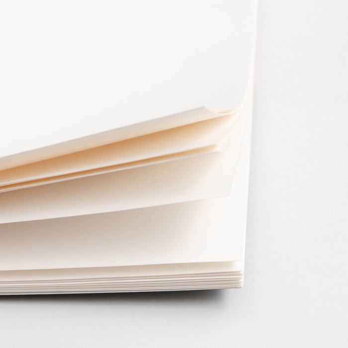 Альбом для рисования 40 листов А4 на скрепке «1 сентября: Авторалли» обложка 160 г/м2, бумага 100 г/м2. Альбом для рисования 40 листов А4 на скрепке «1 сентября: Авторалли» обложка 160 г/м2, бумага 100 г/м2.